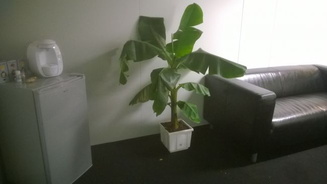 Location de réfrigérateur table top prés de rouen en Normandie